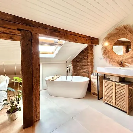 Les Puits Clos : Magnifique T2 Sous Les Toits Toulouse