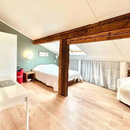 Les Puits Clos : Magnifique T2 Sous Les Toits * Toulouse